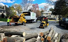 Best Tree Mulching  in Chimayo, NM